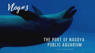 Vlog#3 名古屋港水族館/the Port of Nagoya Public Aquarium