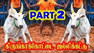 கிருங்காக்கோட்டை ஜல்லிக்கட்டு பாகம்  KIRUNKAKOTTAI JALLIKATTU 2019