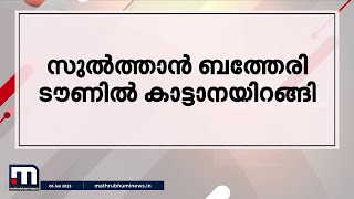 വയനാട് സുല്‍ത്താന്‍ ബത്തേരി ടൗണില്‍ കാട്ടാനയിറങ്ങി- മിന്നല്‍ വാര്‍ത്ത | Mathrubhumi News