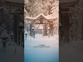 出羽三山神社丨鹤冈 石阶踏雪声声脆 鸟鸣林间 社 鹤冈 日本旅行 雪中秘境 平泉寺白山神社 冬日的静谧之美 带你看雪景 雪景 专业导游 airport 导游 camping 日本旅游