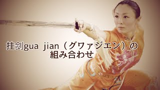 剣の基本編【挂剑gua jian（グワァジエン）の組み合わせ】日本語解説 太極拳中国チャンピオン劉一丁@ryu-tube