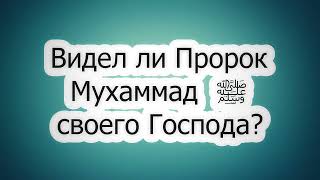 Видел ли Пророк Мухаммадﷺ Аллаха? Сирадж Абу Тальха