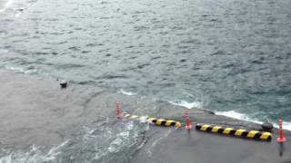 台風7号上陸寸前 波浮港