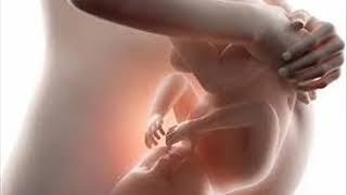 Music to stimulate your baby in the womb _  Brain development