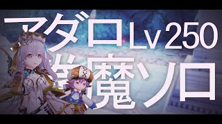 【トーラム】高難易度 アダロ Lv.250／拳魔ソロ