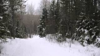 Trailside Bicycles Presents: Salsa Cycles - Push