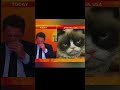 猫の登場にツボるテレビキャスターꉂ🤣𐤔 cat tvshow shorts shortvideo 猫 comedy