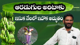 E166 |ఒక్కో అరటి గెలకు 8 నుంచి 9 హస్తాలు.  అంతా ఈ కషాయం వల్లే.. | @Gramabazaar | 833 1800 100