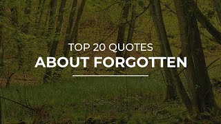 TOP 20 Quotes about Forgotten | Amazing Quotes | Beautiful Quotes