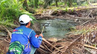 Terbukti nyata!!! Begini ketika spot mancing lembat bertahun-tahun tak terjamah