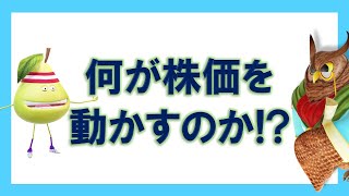 【ジムクレイマー】何が株価を動かすのか！？【まとめ・切り抜き】