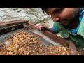 මැණික් හොයපු ගගේ ඇල්ල පතල් gem minning sri lanka how to find gemstones gems mining tips