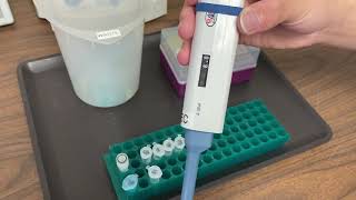 Lab Demo: DNA Forensics Restriction Digest