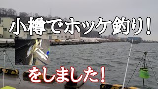 小樽でホッケ釣りをしました！