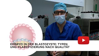 Embryo in der Blastozyste: Typen und Klassifizierung nach Qualität