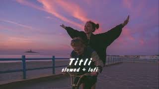 Ban ke Titli Dil Uda || slowed + lofi ||  aesthetic vibe || lofi VIBIE