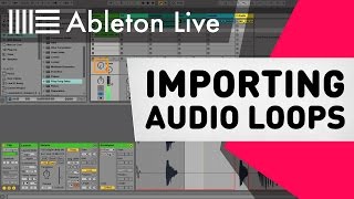 Ableton Live Tutorial - Importing Audio Loops