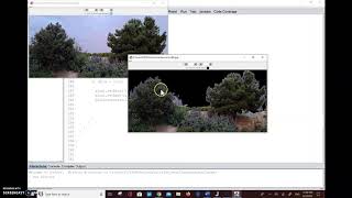 M5 EXPLAIN: Conditional Execution