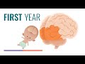 Early brain development