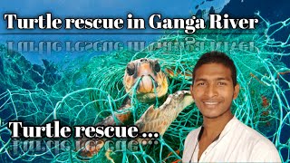 कछुआ का बच्चा | turtle rescue | Ganga river @SAYARISTARAMITYADAV
