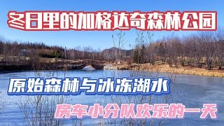 房车小分队相聚于加格达奇森林公园，特别感谢热情的朋友【KO的旅行日记】