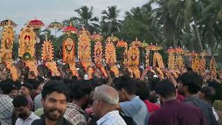 Paarkkadi Pooram 2025 | Column of elephants | Parkadi Pooram 2025