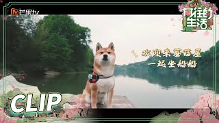 蘑菇屋导游营业中！小H带你云游蘑菇屋第二弹！《向往的生活5》 Back to Field S5 EP2丨MGTV