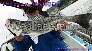 2018/02 【關渡大橋】SeaBassGame(七星鱸 Lateolabrax japonicus) Fishing lure / 船拋 in 淡水河