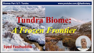 Tundra Biome