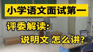 小学语文教师招聘面试，说明文试讲25