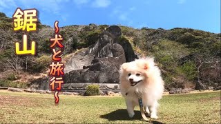 【犬と旅】鋸山をポメラニアンと散策。犬も乗れるロープウェイで楽々山頂へ。地獄のぞき～日本寺大仏まで絶景ルートを歩く【鋸山編】