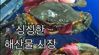 하노이 해산물 시장 구석구석 구경하기