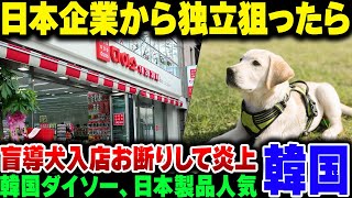 日本から離脱したいと独立した韓国ダイソー、日本製品が人気なうえに盲導犬入店お断りのノンデリカシームーブで炎上してしまう【ゆっくり解説】