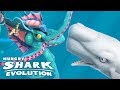 NEW KRAKEN vs MOBY DICK (HUNGRY SHARK EVOLUTION)