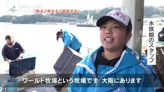 商業捕鯨再開へ！クジラ漁　2019年1月26日③