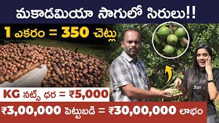 Macadamia Farming Explained in Telugu| Macadamia Farming Profits| Sirisha Kandula