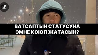 Статусуна буларды койбо! МУХАММАД БЕКМИН