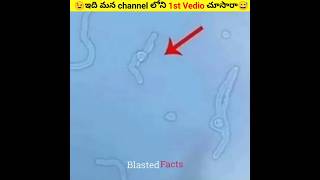 మన ఛానల్ లోని 1st వీడియోని చూసారా😌 || 1st Vedio in our channel || #shorts #facts #telugufacts