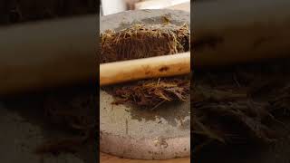 Turning Autumn Grass into Paper