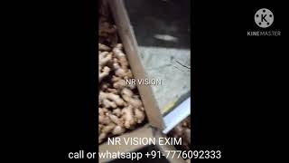 live Export quality Ginger grading and packing process