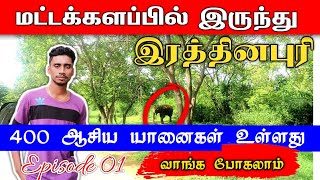 Batticloa to ratnapura||மட்டக்களப்பிலிருந்து இரத்தினபுரி||Verugal media