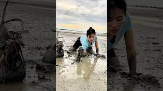 Catching Mantis Shrimp by the Seaside | Fishermen at Work #fishing #satisfying