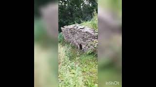 Wanderung zur Berg Ruine Nüsttal (Röhn)(Hessen)