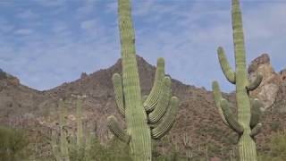 Hewitt Canyon at Queen Valley