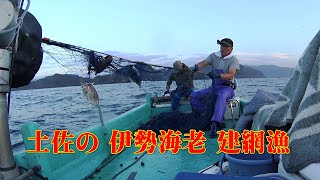 #伊勢海老漁【還暦親父の奮闘記】【土佐湾伊勢海老刺し網漁】伊勢海老漁・還暦を迎えた私が色んな事に挑戦する奮闘記の動画や伊勢エビ漁、刺し網漁師の頑固親父・伊勢エビ漁台風の接近で、大荒れの太平洋での奮闘記