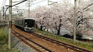 桜並木沿いを走行する神戸電鉄6500系準急（長田～湊川間）