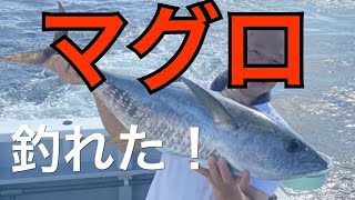 【マグロ釣り】キハダマグロGET！ノーカットでどうぞ