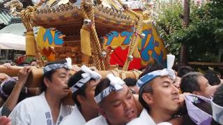 湯島天満宮（湯島天神）　例大祭　宮元の神輿　連合神輿渡御　２０１６．５．２９