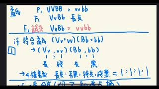 遺傳學No 9 : (選修)摩根證明連鎖，發現互換