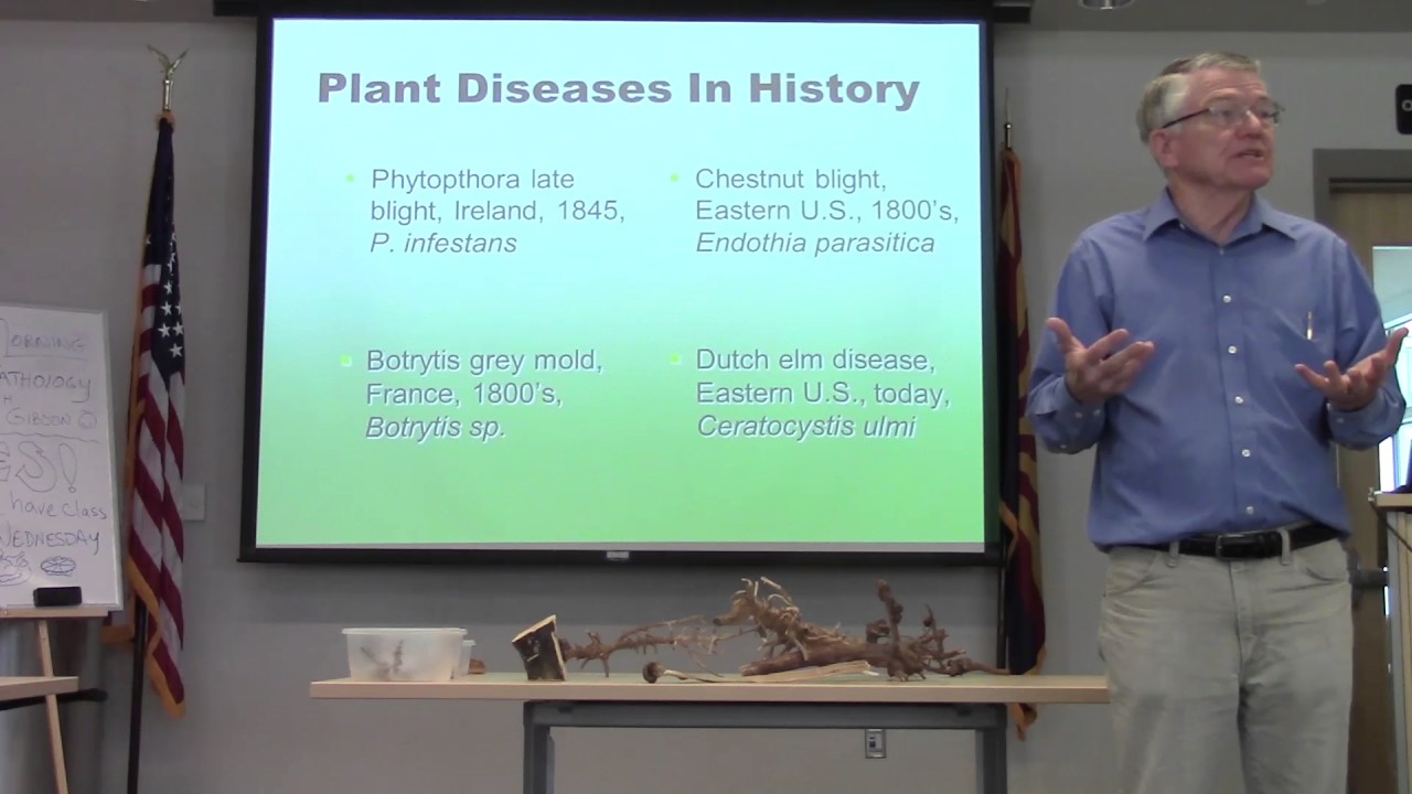 Master Gardeners Plant Pathology - YouTube